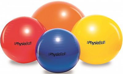 PhysioBall Standard Ledragomma 95 cm