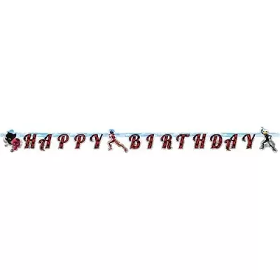 Party nápis Happy Birthday Kouzelná beruška a černý kocour 200 x 15 cm