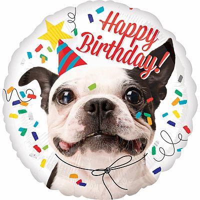 Fóliový balónek Buldoček Happy Birthday 43 cm
