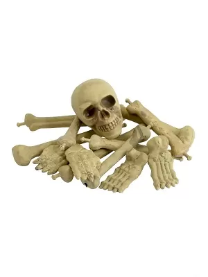 Halloweenská dekorace kosti