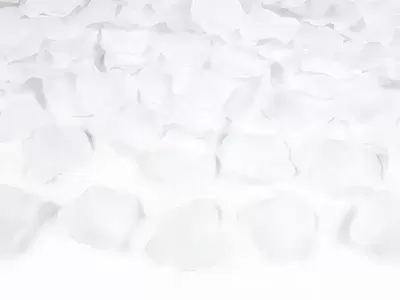 Lístky růží bílé 500 ks