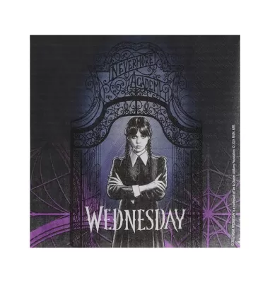 Papírové ubrousky Wednesday 20ks