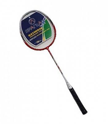 BADMINTONOVÁ RAKETA SPARTAN JIVE