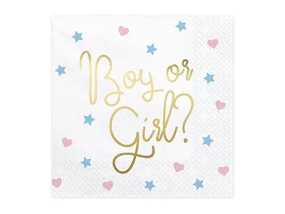 Papírové ubrousky "Boy or Girl?" 33x33cm, 20ks