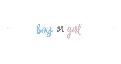 Banner Boy or Girl 213 cm