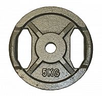 Litinový kotouč s úchopy 5kg - 25 mm