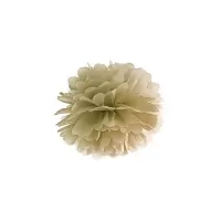 Pom pom zlatý 25 cm