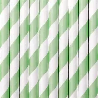 Papírová brčka mint-bílá - 10 ks