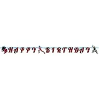 Party nápis Happy Birthday Kouzelná beruška a černý kocour 200 x 15 cm