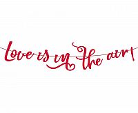 Papírová girlanda - Love is in the air - 200 cm
