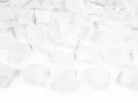 Lístky růží bílé 500 ks