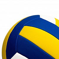 Acra Official Volleyball - velikost 5