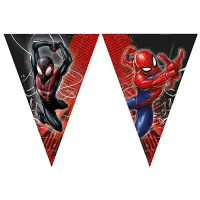 Vlaječková girlanda Spiderman - World of Web