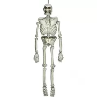 Halloweenská dekorace lidská kostra 137 cm