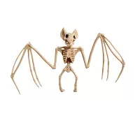 Halloweenská dekorace kostra netopýra 30 cm