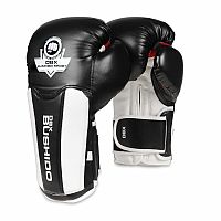 Boxerské rukavice DBX BUSHIDO B-3W