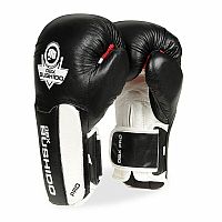 Boxerské rukavice DBX BUSHIDO B-3W Pro