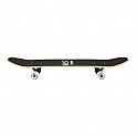 Skateboard NILS Extreme CR3108SA Forest