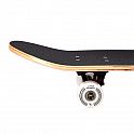 Skateboard NILS Extreme CR3108SA Forest