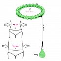 Masážní hula hoop HMS HHW12 plus size se závažím zelená