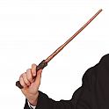 Kouzelnická hůlka Harry Potter