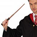 Kouzelnická hůlka Harry Potter