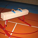 Gymnastický kůň s madly, umělá kůže, nastavitelná výška 90-120cm