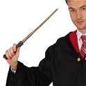 Kouzelnická hůlka Harry Potter