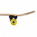 Skateboard NILS Extreme CR3108 SA Metro 1