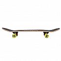 Skateboard NILS Extreme CR3108SA Brain