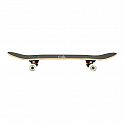 Skateboard NILS Extreme CR3108 Camper