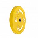 Barevný bumper kotouč HMS CBR 15 kg