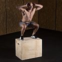 Plyo Box HMS DSC01
