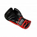 Boxerské rukavice DBX BUSHIDO BB4