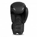Boxerské rukavice DBX BUSHIDO B-2v22