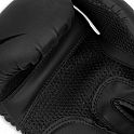 Boxerské rukavice DBX BUSHIDO B-2v22