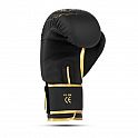 Boxerské rukavice DBX BUSHIDO Gold Dragon
