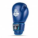 Boxerské rukavice DBX BUSHIDO ARB-407-Blue
