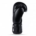 Boxerské rukavice DBX BUSHIDO ARB-Black