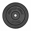 Spokey SINIS Litinový kotouč, 29 mm, 5 kg