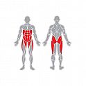 Posilovací zařízení břišních svalů - oboustranné