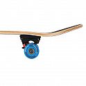 Skateboard NILS Extreme CR3108 SA Monkey