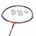 Badmintonový set WISH Alumtec 316k