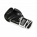 Boxerské rukavice DBX BUSHIDO BB5