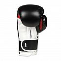 Boxerské rukavice DBX BUSHIDO B-3W Pro