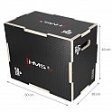 Plyo Box HMS DSC03