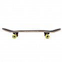 Skateboard NILS Extreme CR3108SA Brain