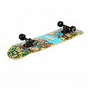 Skateboard NILS Extreme CR3108 Color Worms 2