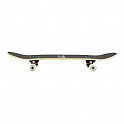 Skateboard NILS Extreme CR3108 Camper